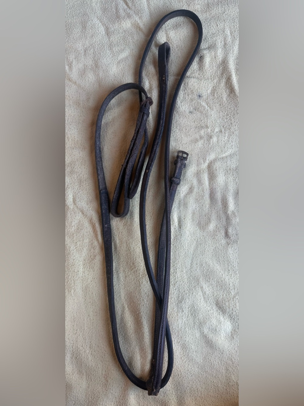 Pony standing martingale